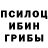 Псилоцибиновые грибы MAGIC MUSHROOMS Olga CR