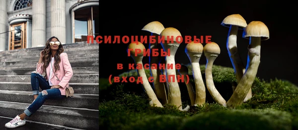 PSILOCYBIN Бронницы