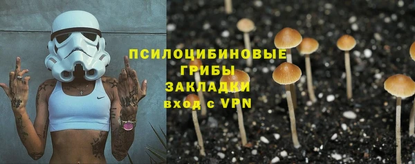 а пвп мука Бугульма