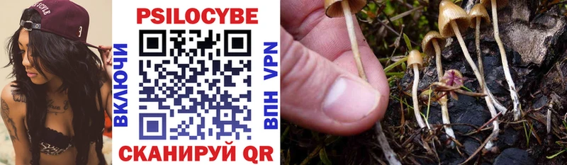 Псилоцибиновые грибы мухоморы где купить наркотик Сочи